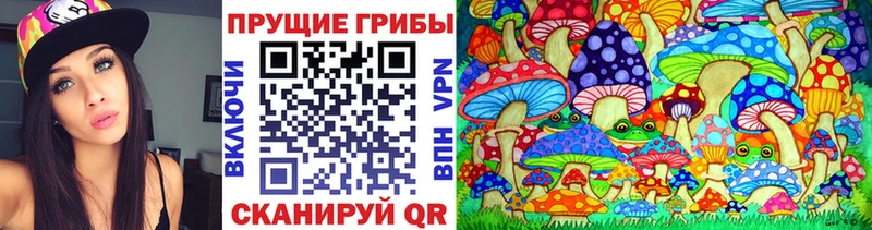 где продают наркотики  Лебедянь  Псилоцибиновые грибы Cubensis 